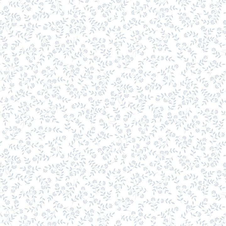 1882-01W WHITE