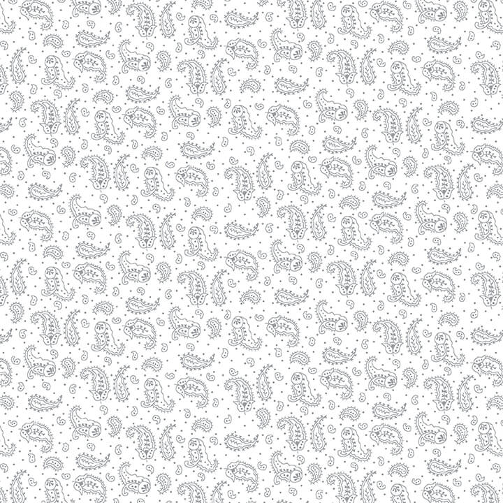 1893-01W WHITE