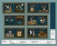2723BP-77 Under the Night Sky Book Panel | Little Readers 8