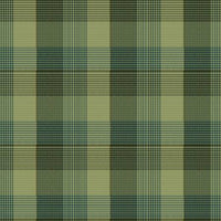 3137F-66 Green Window Pane Plaid Flannel || The Mountains are Calling