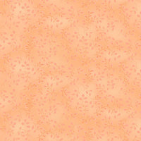 7755-22 Peach || Folio Basics