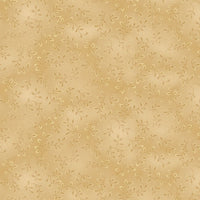 7755-31 Chamois || Folio Basics