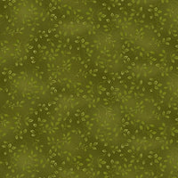 7755-65 Olive || Folio Basics