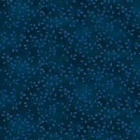 7755-74 Spruce || Folio Basics