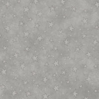 Starry Basic Silver - 8294-91