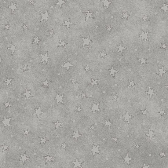 Starry Basic Silver - 8294-91
