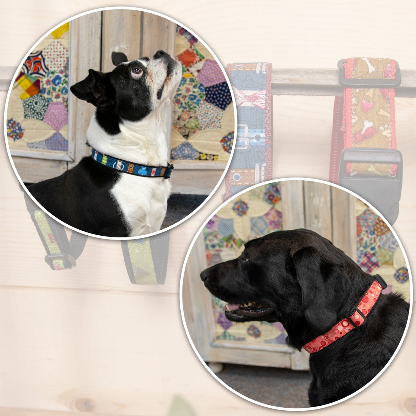 Canine Collars Pattern