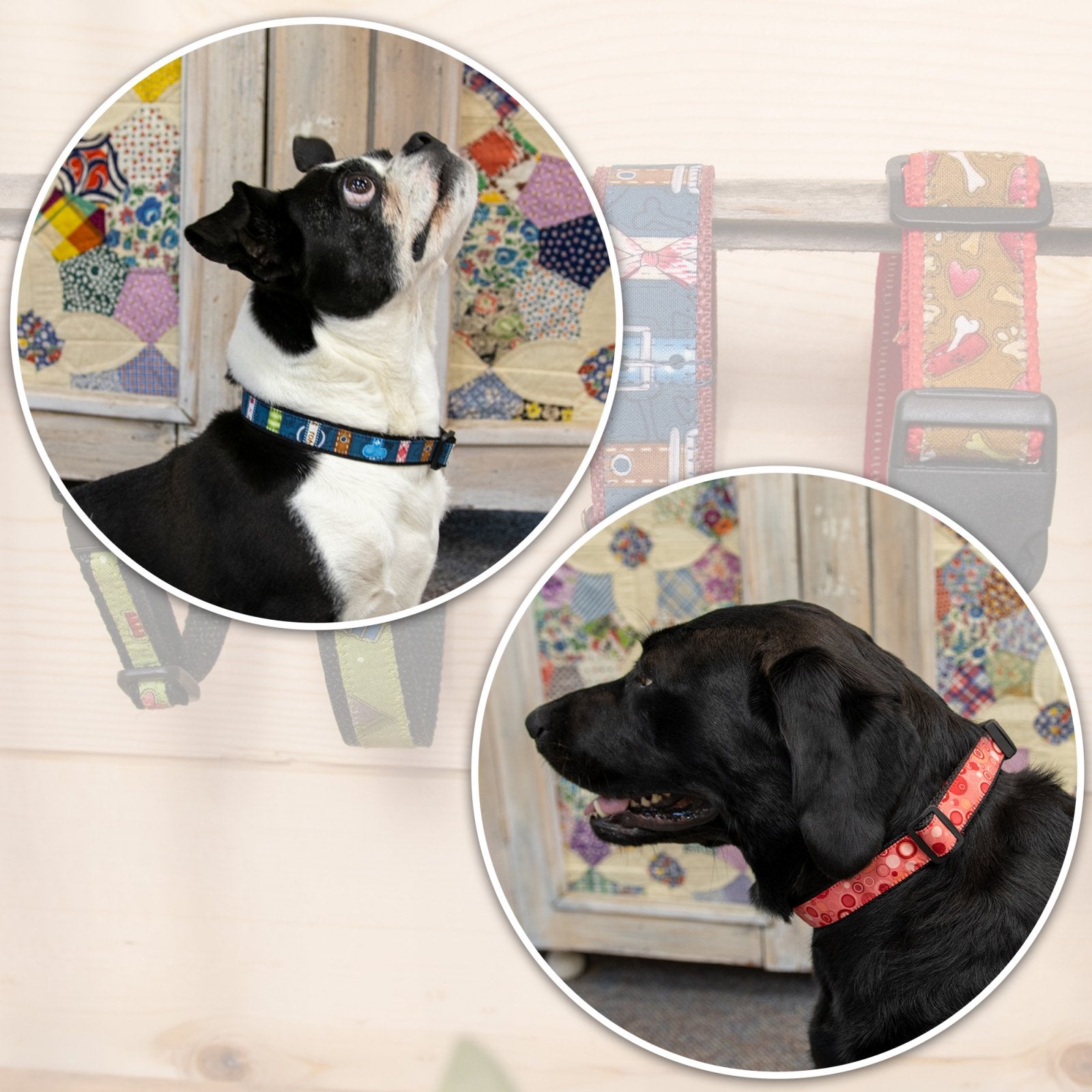 Canine Collars Pattern