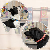 Canine Collars Pattern