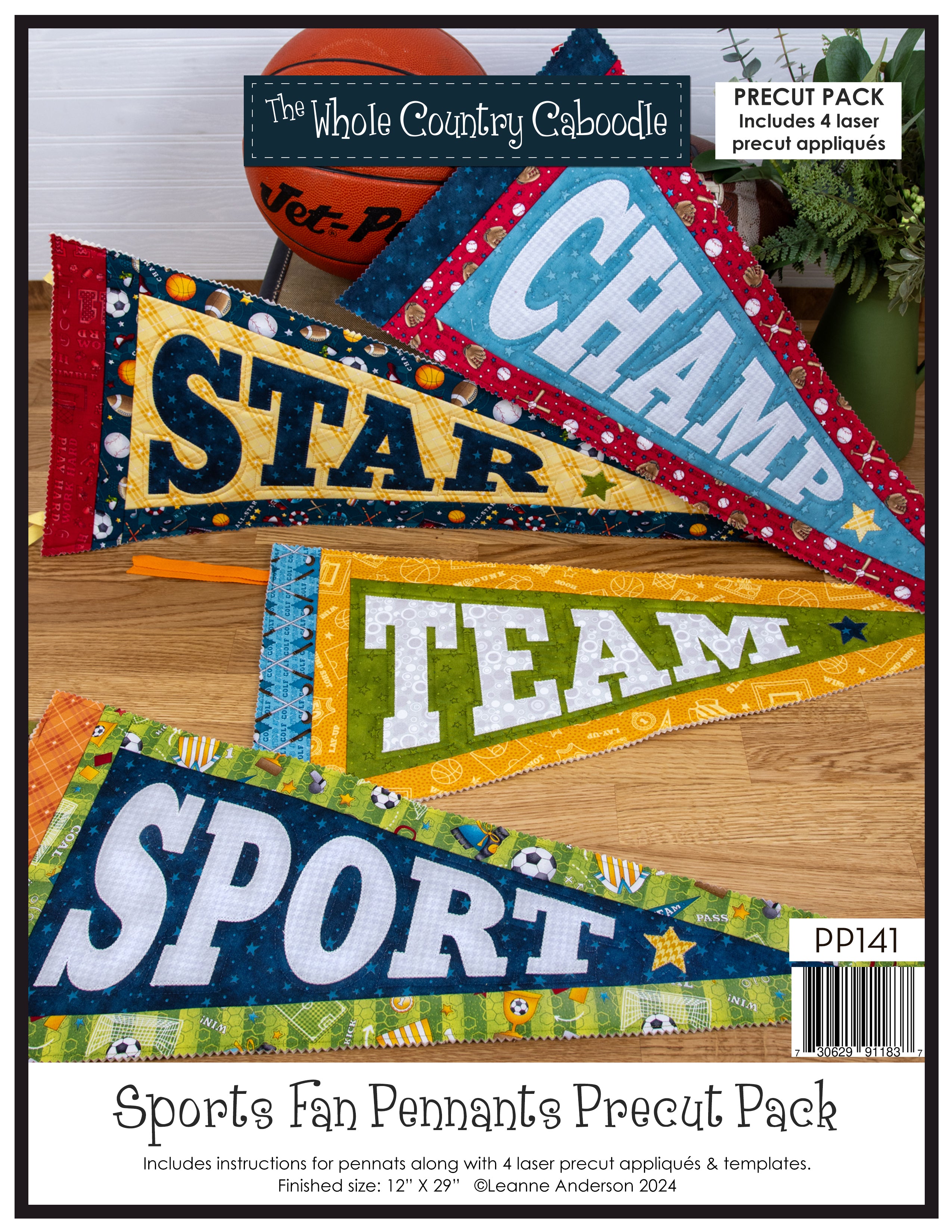 Sports Fan Pennants Pattern