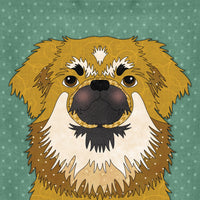 Tibetan Spaniel Applique