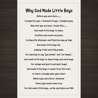 Why God Made Little Boys Panel & Pattern