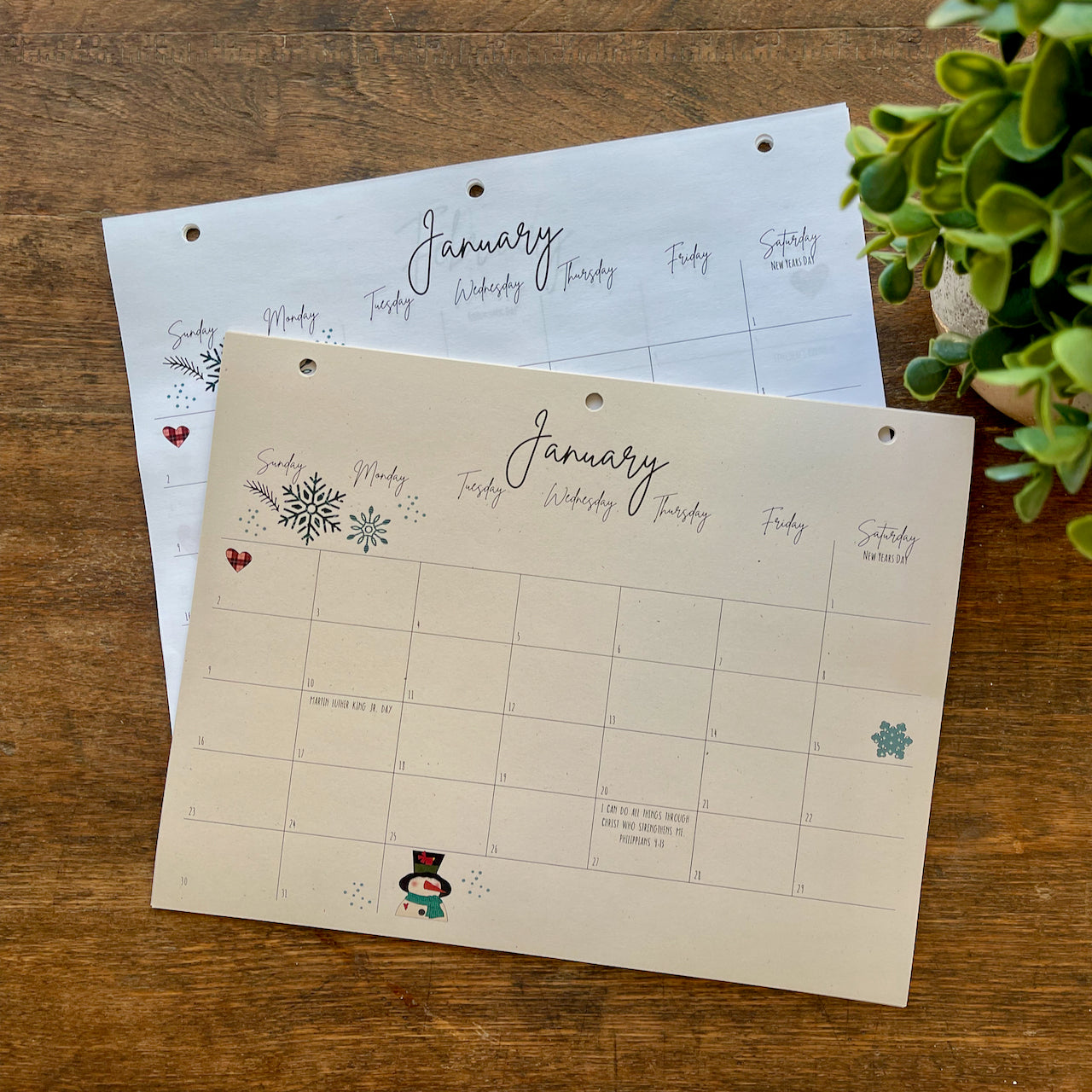 "Buzy Dayz" 2026 Caboodle Calendar
