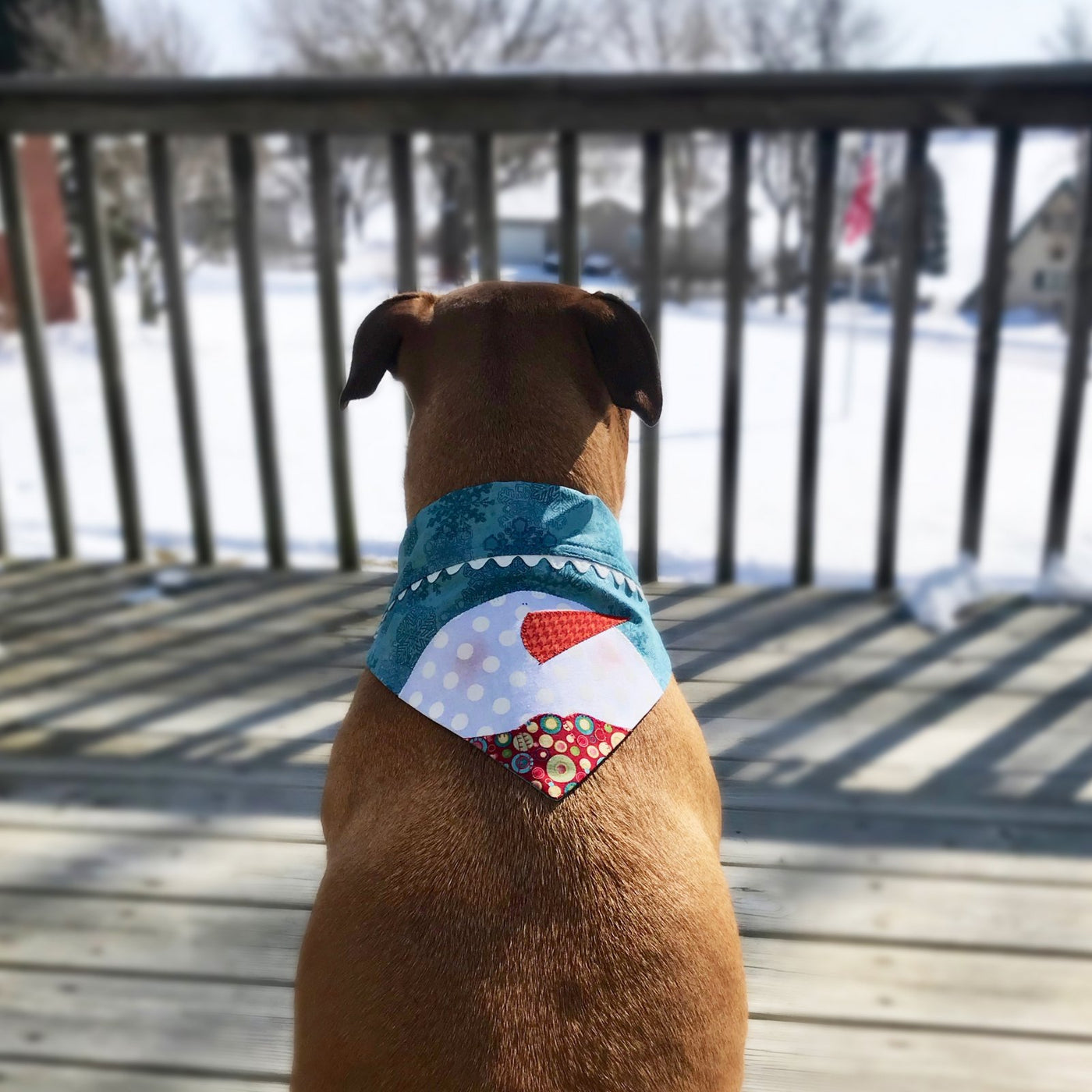 Doggy Bandana Collar Covers