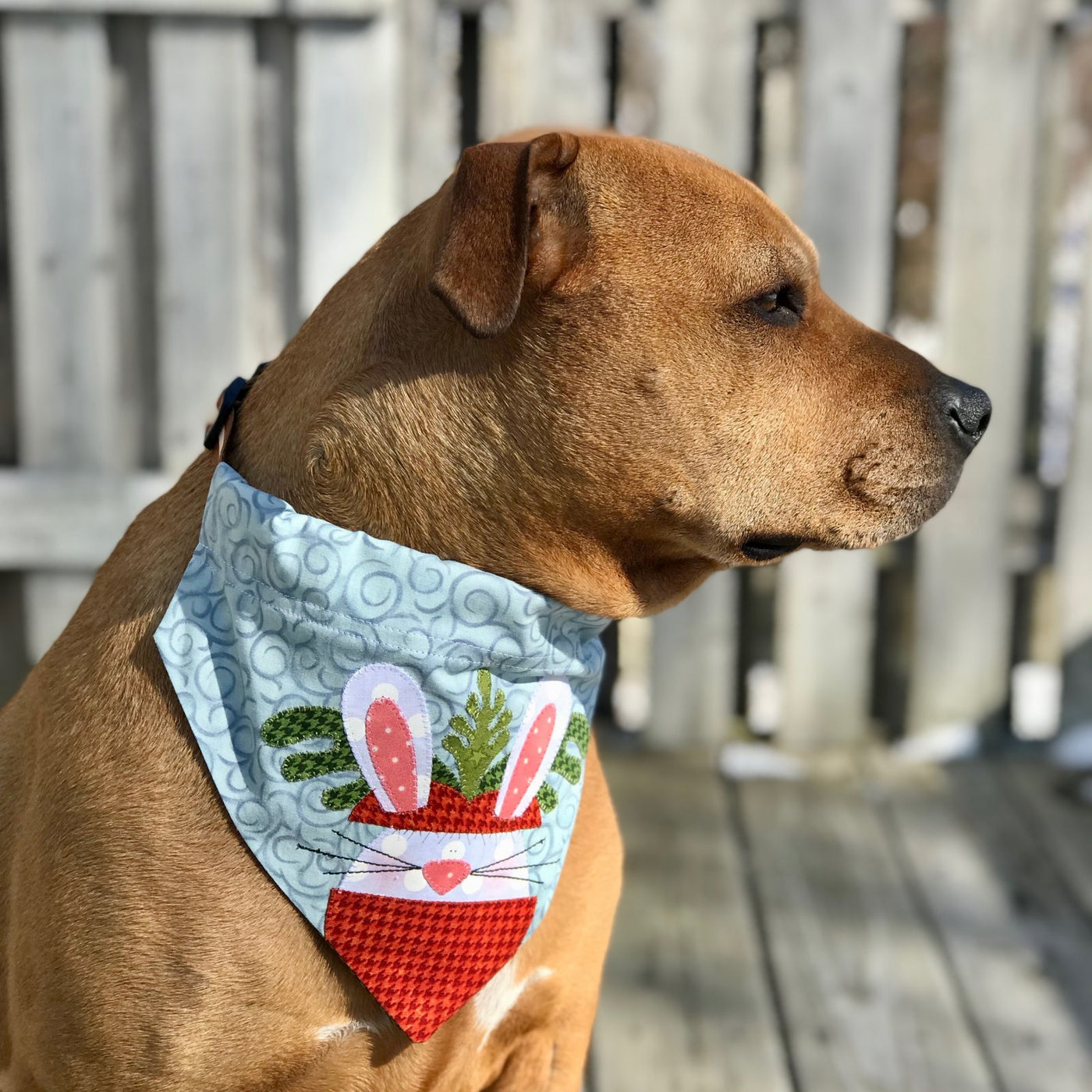Doggy Bandana Collar Covers