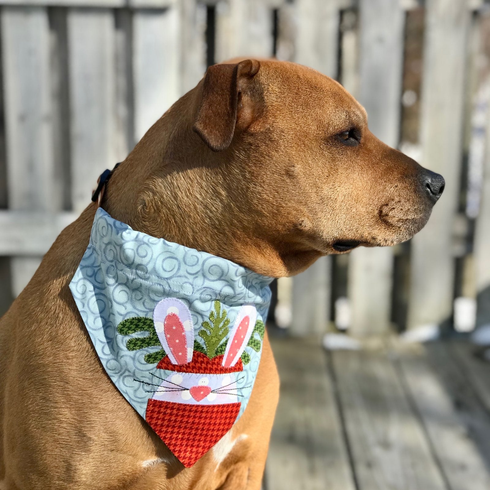 Doggy Bandana Collar Covers