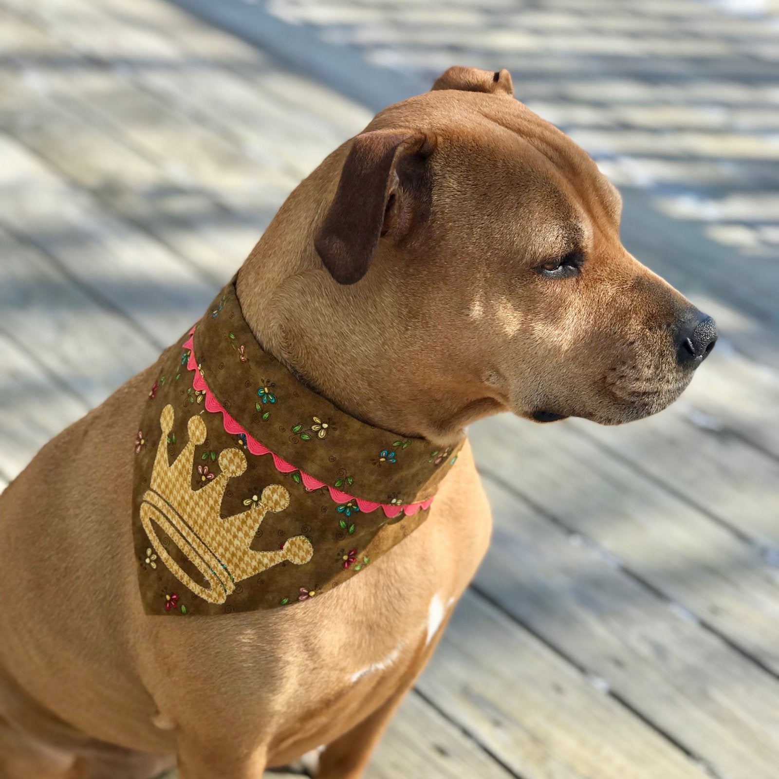 Doggy Bandana Collar Covers